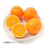 アメリカなどの国外産 ミネオラオレンジ（サンキスト）1パック