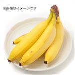 フィリピンなどの国外産 バナナ（キウイーナ）1袋