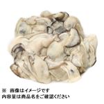 広島県産 生かき加熱用 100g