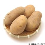 鹿児島県などの国内産 メークイン 500g入 1袋