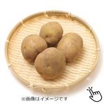 北海道などの国内産 じゃがいも袋（キタアカリ）500g入 1袋