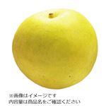 鳥取県などの国内産 なし（二十世紀）2個入 1パック