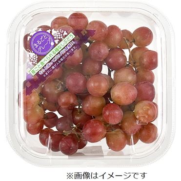 【ぶどうページ】 ぶどう 葡萄 ブドウ