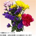 スタッフおまかせ和花 5本束※種類はお選びいただけません【11／3～11／5お渡し】【置き楽配送指定不可】