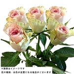 【ブラックフライデー企画】輸入バラ ピンク 5本束【置き楽配送指定不可】【11／21～11／24お渡し】