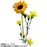 ひまわりブーケS 1束【置き楽配送指定不可】