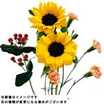 ひまわりブーケM 1束【置き楽配送指定不可】