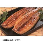 加工地：中国 中国産原料使用 うなぎ蒲焼 特大 1尾  【8／12～8／14お渡し】