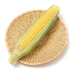 宮崎県などの国内産 とうもろこし 1本