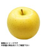 青森県などの国内産 りんご（きおう）Mサイズ 1個