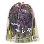 群馬県などの国内産 赤じそ 1パック