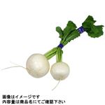 埼玉県などの国内産 小かぶ 1束