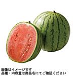 群馬県などの国内産 薮塚の小玉すいか 1個