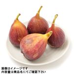 愛知県などの国内産 いちじく 1パック
