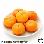 長崎県などの国内産 味ロマンみかん 1袋