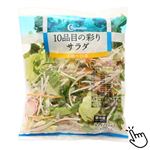 10品目の彩りサラダ 大根や白菜 1パック