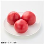 高知県などの国内産 フルーツトマト 1パック