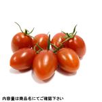 北海道などの国内産 ミニトマト（愛してアイコ）小 1パック