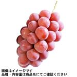 トップバリュ 長野県などの国内産 ぶどう（クイーンルージュ）1パック