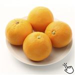 トップバリュ オーストラリアなどの国外産 甘さギュっとオレンジ 1袋