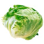 トップバリュ減の恵み 茨城県などの国内産 シャキ直レタス 1個