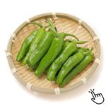 トップバリュ減の恵み 高知県などの国内産 ししとう 1袋