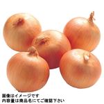 トップバリュ減の恵み 北海道などの国内産 たまねぎ（大袋）1袋