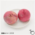 トップバリュ減の恵み 北海道などの国内産 赤たまねぎ 1袋