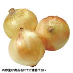 兵庫県などの国内産 たまねぎ（大袋）1袋