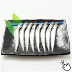 原料原産地／ノルウェー 子持ちししゃも 8尾入 1パック 【9月22日～9月23日の受取り】
