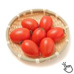 国内産 カゴメ トマト（サラダプラム）1パック