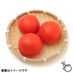 国内産 カゴメ 高リコピントマト 1袋