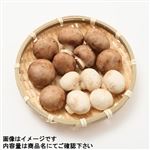 岩手県などの国内産 マッシュルーム（ミックス）1パック