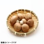 岩手県などの国内産 マッシュルーム（ブラウン）1パック