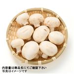 岩手県などの国内産 マッシュルーム（ホワイト）（小パック）1パック