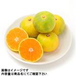 和歌山県などの国内産 熟れっ子ゆら早生みかん 1袋