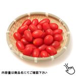 熊本県などの国内産 ミニトマト（アンジェレ）（大）1パック