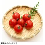 大分県産 イオン農場プリンセストマト 1パック