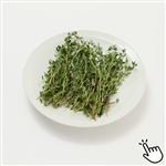 茨城県などの国内産 SC タイム 1パック