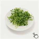 茨城県などの国内産 SC チャービル 1パック