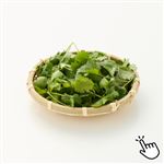 パクチーリーフ 1袋