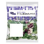 ケール＆紫玉ねぎのサラダ 1パック