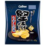 カルビー 堅あげポテト うすしお味 65g