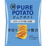湖池屋 ピュアポテト オホーツクの塩と岩塩 55g