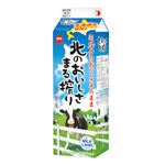 日本酪農 北のおいしさまる搾り 1000ml
