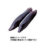 宮崎県などの国内産 長なす 1袋