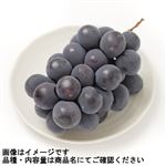 山梨県産 ふえふきの種無し巨峰 1パック