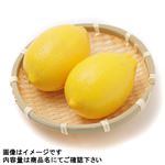 愛媛県などの国内産 レモン 1袋