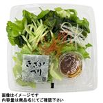 チョレギサラダ（小）1パック
