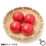 静岡県などの国内産 フルーツトマト（アメーラ）1パック